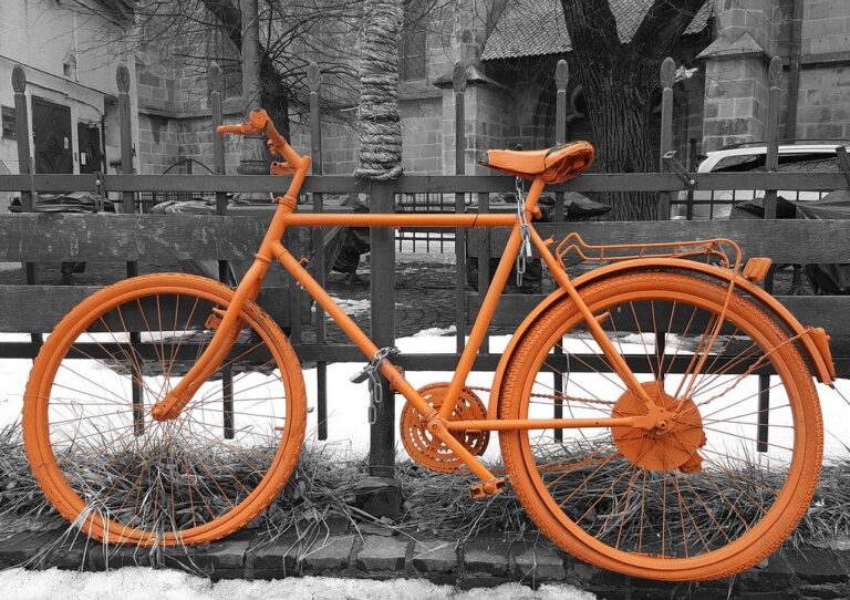 Read more about the article The Orange Bike