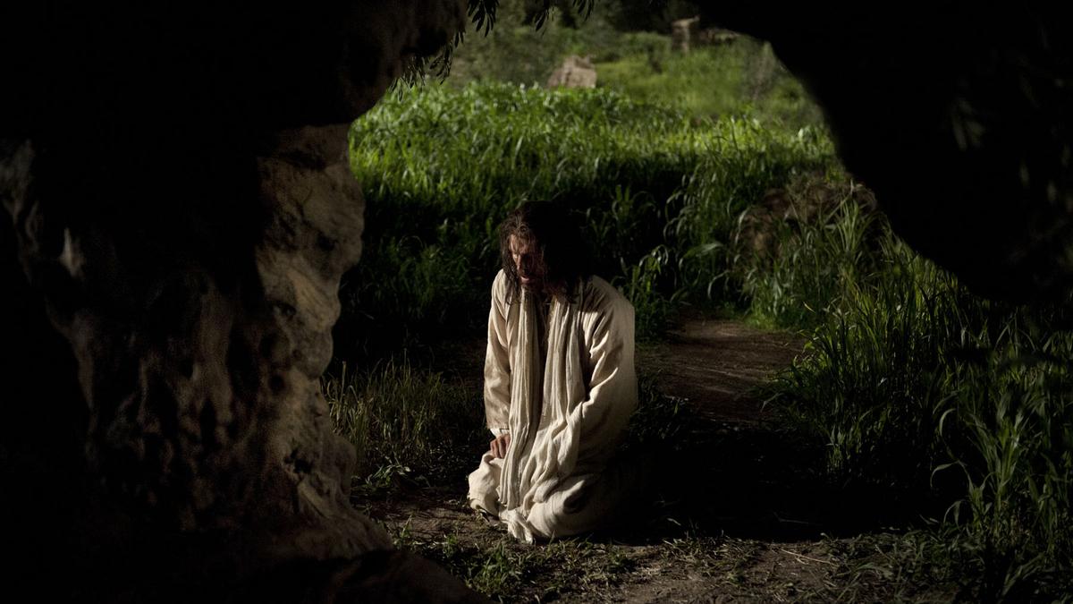 You are currently viewing How Could He Do It